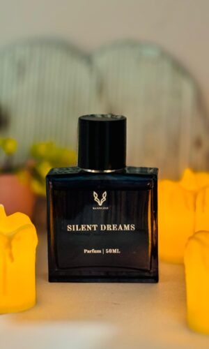 silent dreams by bannuzai