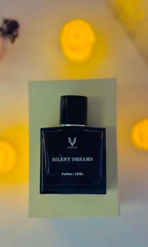 silent dreams by bannuzai
