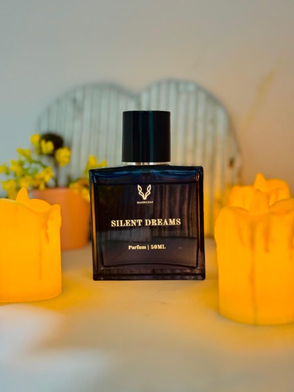 silent dreams by bannuzai